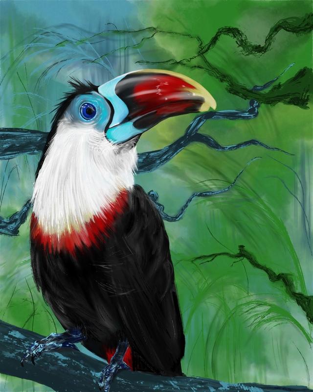 Wild Colors