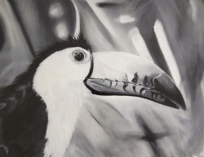 Toucan